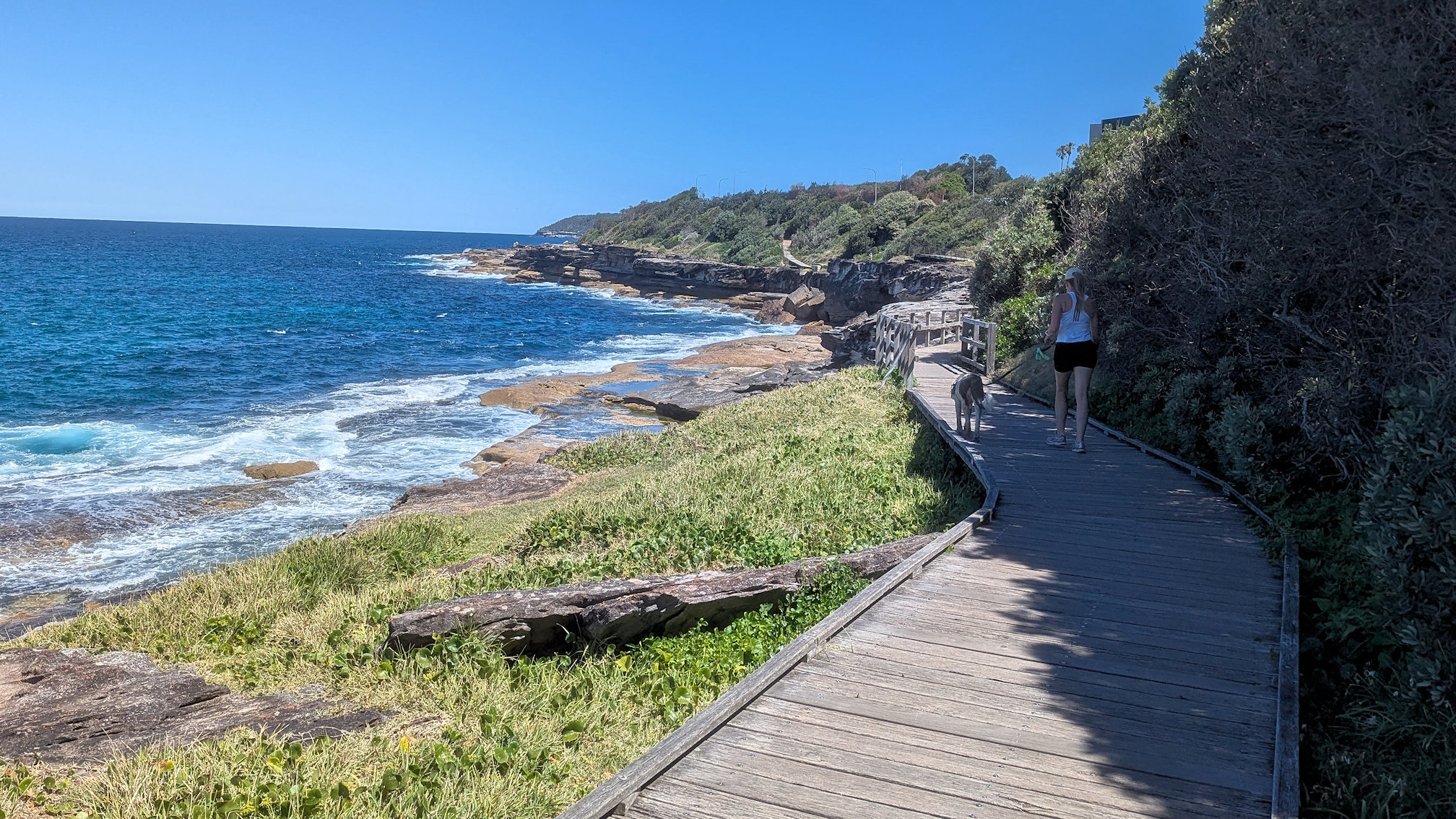 curlcurl_fresh track3